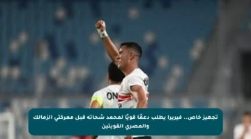 تجهيز خاص.. فيريرا يطلب دعمًا قويًا لمحمد شحاتة قبل معركتي الزمالك والمصري القويتين
